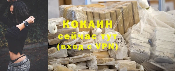 крисы Балахна